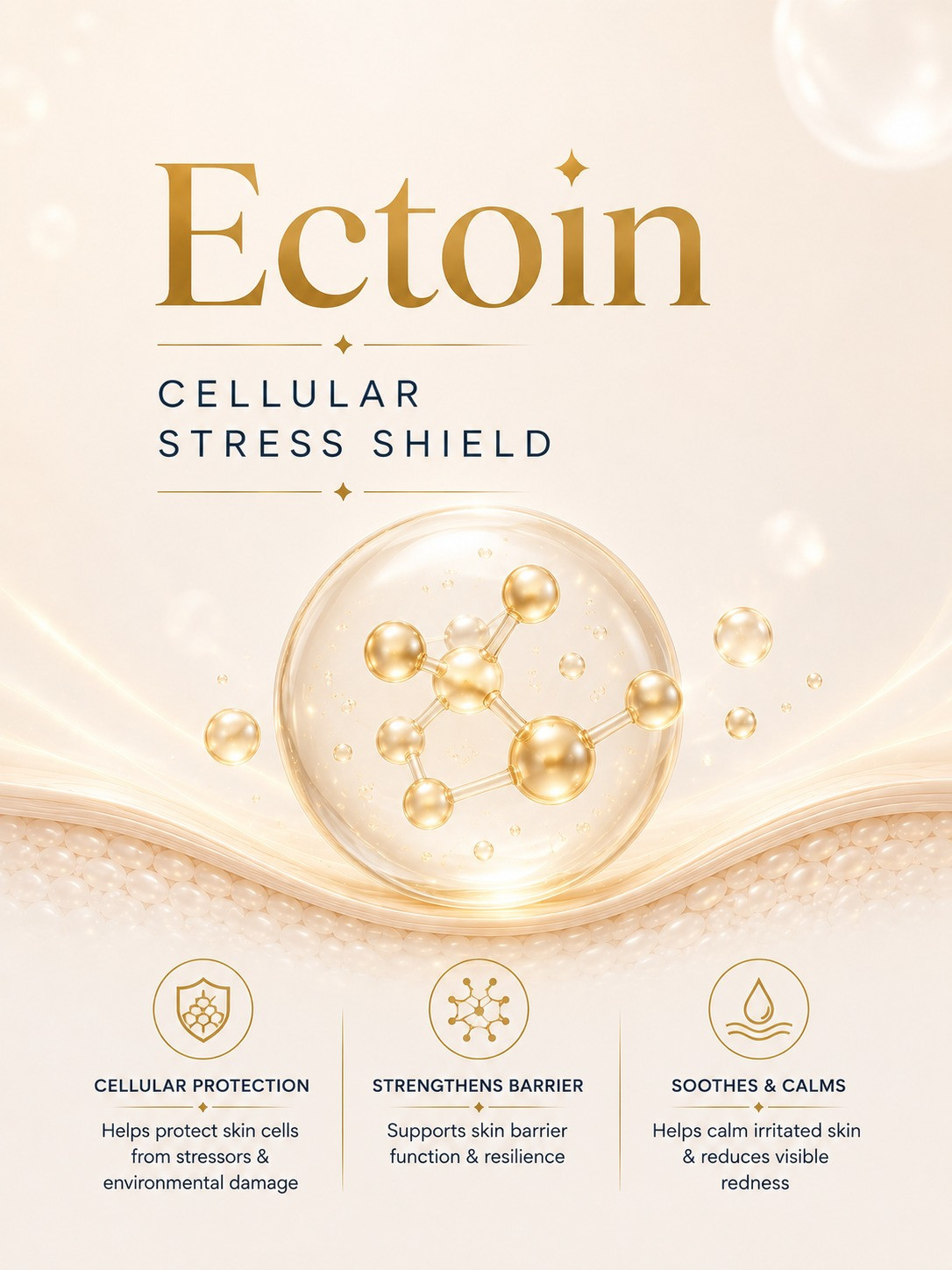Ectoin — Cellular Stress Shield